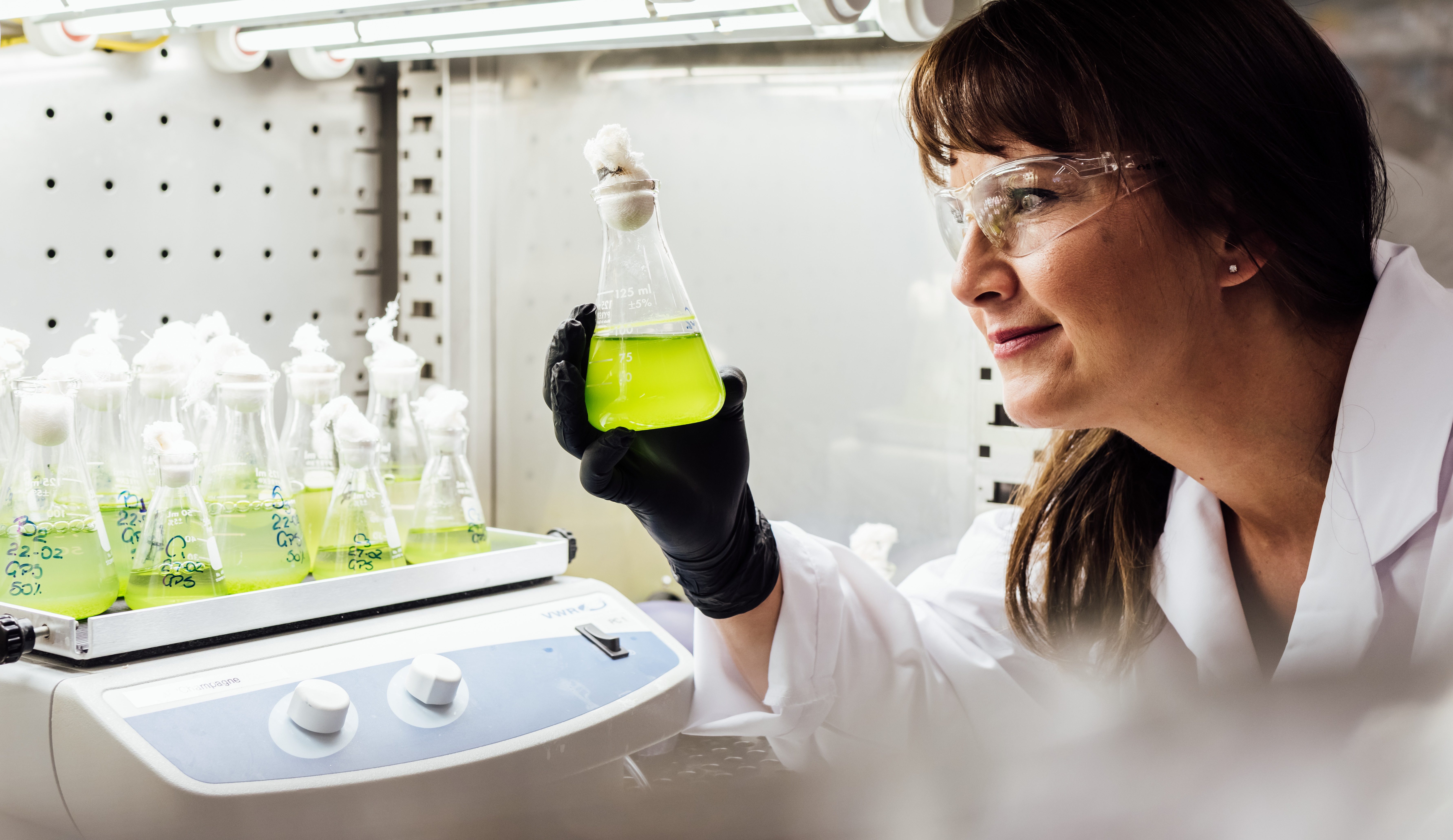 Algae Research in the Lab